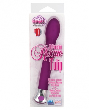 10 Function Risque Tulip - Purple